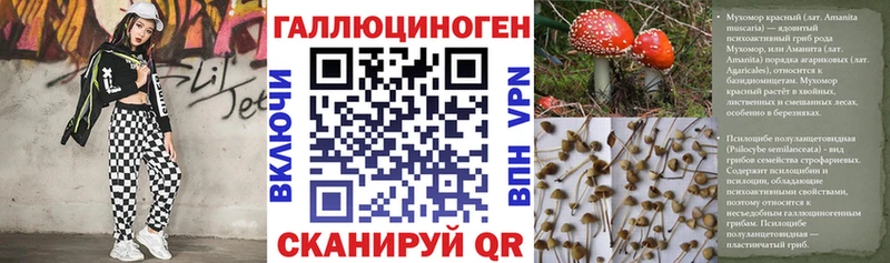 MEGA маркетплейс  где продают наркотики  Людиново  Галлюциногенные грибы прущие грибы 