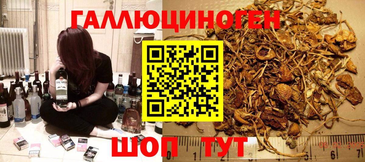 Псилоцибиновые грибы Psilocybine cubensis Людиново